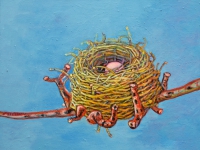 ' Golden Nest '   2008 oil & tempera on canvas 50 x 47 cm